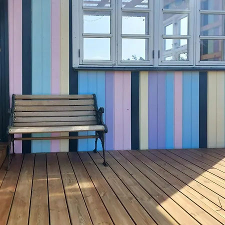 Colourful In Near The North Sea
