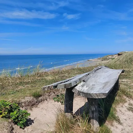 Colourful In Near The North Sea